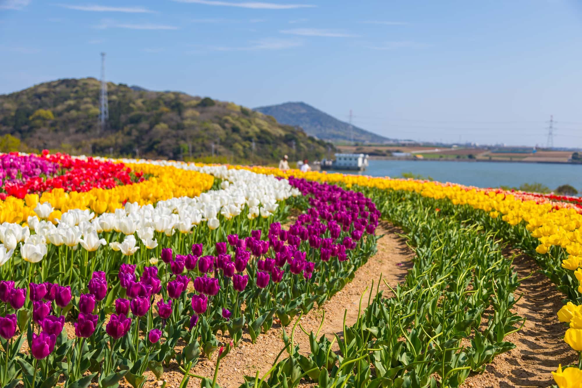 🏞️ 산테파르크 타하라 (타하라시 아시가이케 농업공원) 이미지 1